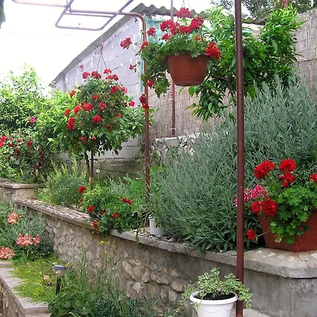 度假居 House With A Parking Space Mastrinka, Ciovo - 7583 特罗吉尔